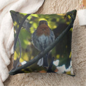 キュートウッチングロビン装飾用クッション クッション (ブランケット)