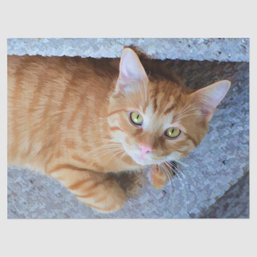 キュートオレンジタビーキャットデコパージュ 薄葉紙 (正面)