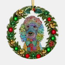 キュートカラフルとプードル