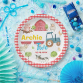 キュートカラフルファーム動物納屋周囲の庭誕生日 ペーパープレート (パーティー)