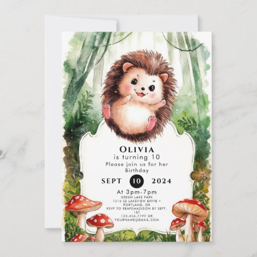 キュートカラフルヘッジホッグ誕生日 招待状 (正面)