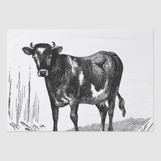 キュートカントリーヴィンテージカウファームパーティー 薄葉紙 (正面)