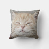 キュートキットネスリープ顔猫好き クッション (裏面)