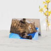 キュートキャットビッグハグ誕生日 カード (黄色い花)