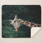 キュートキリンポートレート シェルパブランケット (正面(横))