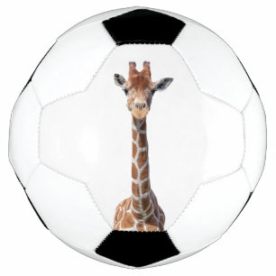 キュートキリン顔 サッカーボール