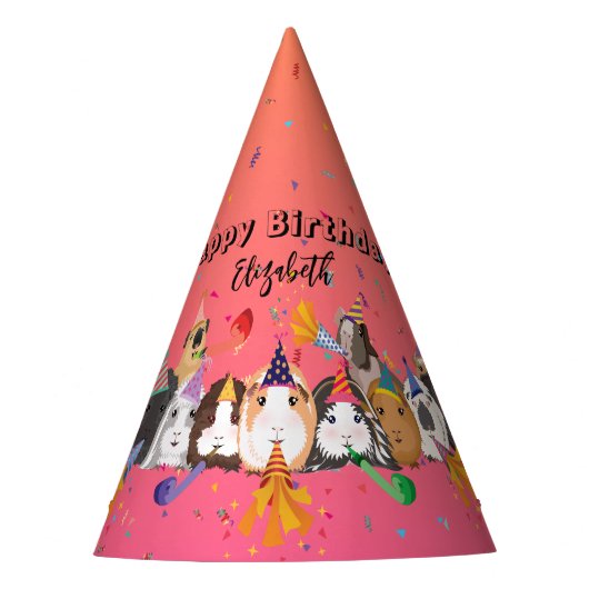 キュートギニアピグガール誕生日 パーティーハット (正面)