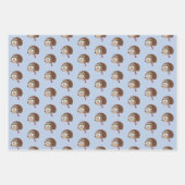 キュートクリスマスホリデーヘッジホグ ラッピングペーパーシート (正面3)