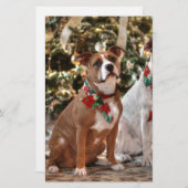 キュートクリスマスレスキューピットブルとアメリカブルドッグ 便箋 (正面/裏面)