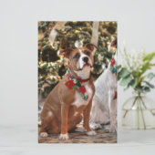 キュートクリスマスレスキューピットブルとアメリカブルドッグ 便箋 (スタンド正面)