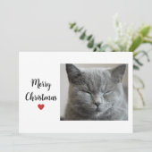 キュートグレースリーピーキャットクリッツマスホリデーラブ シーズンカード (スタンド正面)