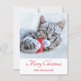 キュートグレータブビーキャットクリスマスハットクリスマス シーズンカード