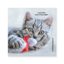 キュートグレータブビーキャットクリスマスハットクリスマス