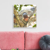 キュートコアラベアキャンバスプリント キャンバスプリント (インサイチュ (リビング))