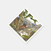 キュートコアラベアーナプキンズ スタンダードカクテルナプキン (角)