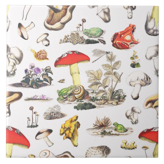 キュートコテージコアフォレストマッシュルームフログスカタツムリ タイル (正面)