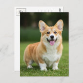 キュートコーギウェルシュコーギークイーンポストカード ポストカード (正面/裏面)