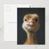 キュートゴスリングポートレート ポストカード (正面/裏面)