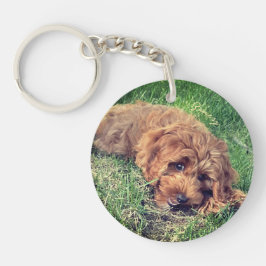 キュートゴールデンドードルウィズ文字 キーホルダー