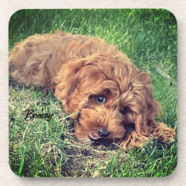 キュートゴールデンドードル飲料用コースター コースター