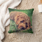 キュートゴールデンドードル クッション (ブランケット)