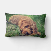 キュートゴールデンドードル ランバークッション (裏面)