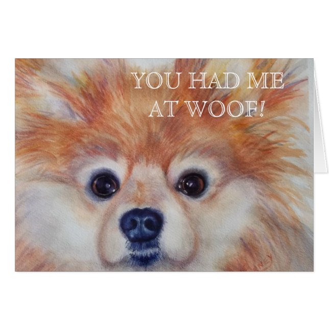 キュートゴールデンポメラニア犬 (正面横)