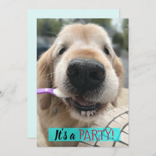 キュートゴールデンリレ食べーバーのアイスクリームパーティー 招待状 (正面/裏面)