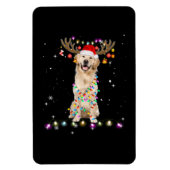 キュートゴールデンレトリエバークリスマスライトトインデナー マグネット (縦)