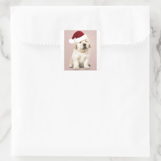 キュートゴールデンレトリバーのポートレート スクエアシール (バッグ)