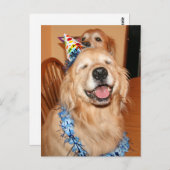 キュートゴールデンレトリバー誕生日ウィッシュ ポストカード (正面/裏面)