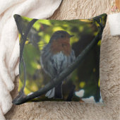 キュートサマーロビン装飾用クッション クッション (ブランケット)