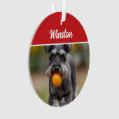 キュートシュナウザーのクリスマスフォトオーナメント オーナメント (正面)