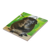 キュートシルバーキツネギニアピグ タイル (側面)