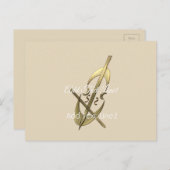 キュートシンプル金ゴールドチェロ音楽サンキューカード ポストカード (正面/裏面)