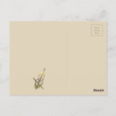 キュートシンプル金ゴールドチェロ音楽サンキューカード ポストカード (裏面)