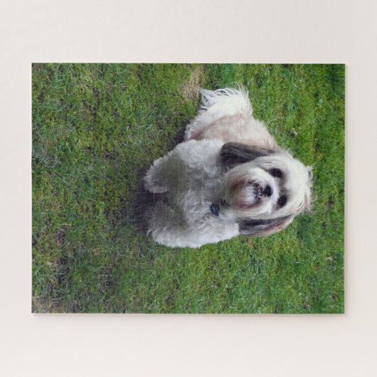 キュートシーズー(犬)ズフワフワ犬写真写真テンプレート ジグソーパズル (横)