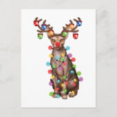 キュートスフィンクス猫好きおもしろいクリスマスホリデーギフト ポストカード (正面)