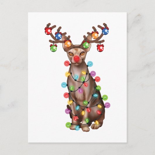 キュートスフィンクス猫好きおもしろいクリスマスホリデーギフト ポストカード (正面)