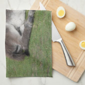 キュートスリーピングドンキーベビーフォール キッチンタオル (四つ折り)