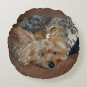 キュートスリーピーヨークシャーテリアーヨークシャーテリアパピー ラウンドクッション (正面)
