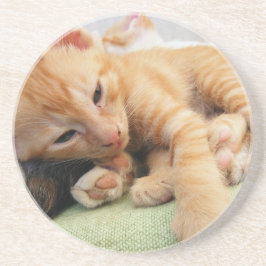 キュートタイガーストライプキッテン コースター