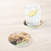 キュートタイガーストライプキッテン コースター (側面)