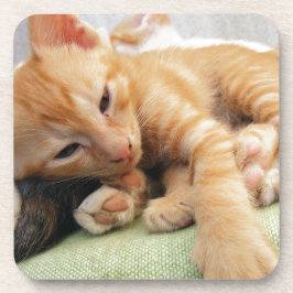 キュートタイガーストライプキッテン コースター