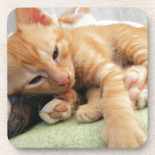 キュートタイガーストライプキッテン コースター (正面)