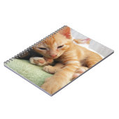 キュートタイガーストライプキッテン ノートブック (左側)