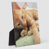 キュートタイガーストライプキッテン フォトプラーク (側面)