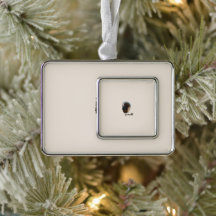 キュートチョコレートラブラドールドッグ – Bailey | ペットのプレゼント