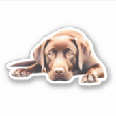 キュートチョコレートラボ シール (正面)