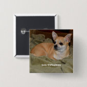 キュートチワワレスト 缶バッジ (正面&裏面)